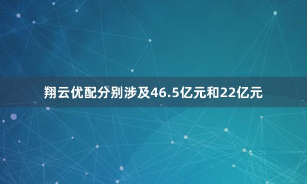 翔云优配分别涉及46.5亿元和22亿元
