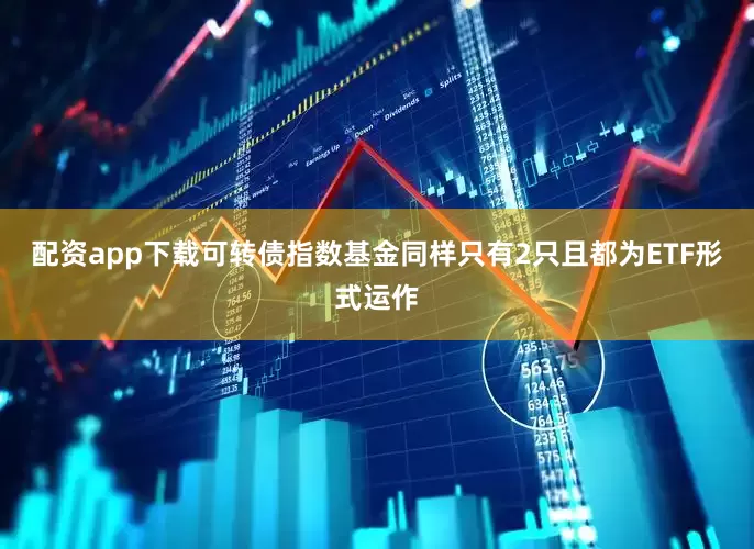配资app下载可转债指数基金同样只有2只且都为ETF形式运作