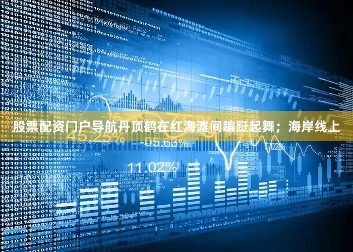股票配资门户导航丹顶鹤在红海滩间蹁跹起舞；海岸线上