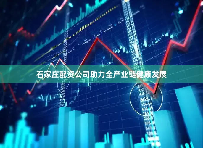 石家庄配资公司助力全产业链健康发展