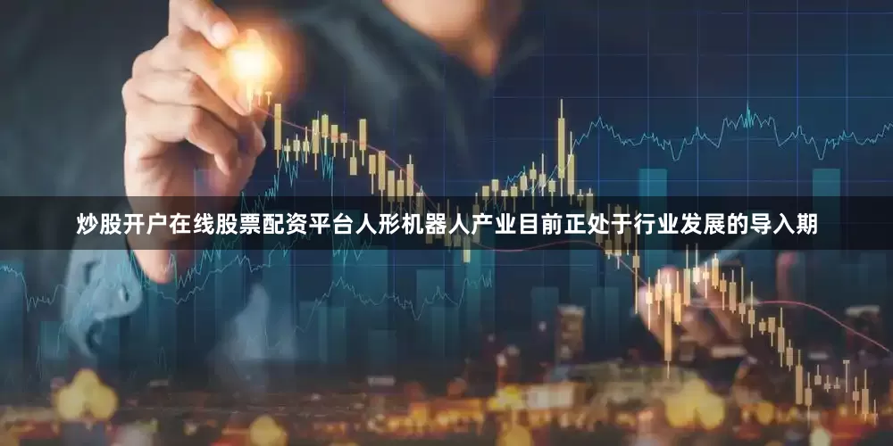 炒股开户在线股票配资平台人形机器人产业目前正处于行业发展的导入期