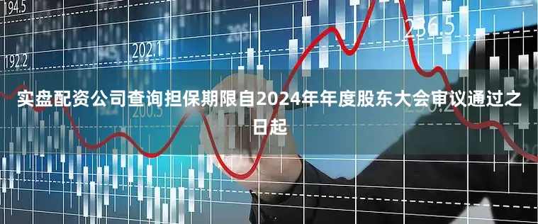 实盘配资公司查询担保期限自2024年年度股东大会审议通过之日起