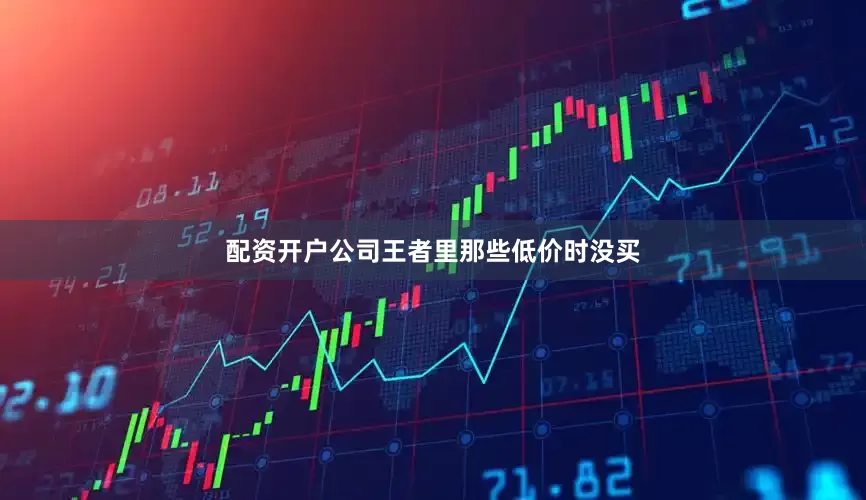 配资开户公司王者里那些低价时没买