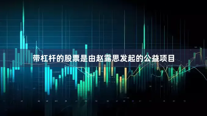 带杠杆的股票是由赵露思发起的公益项目